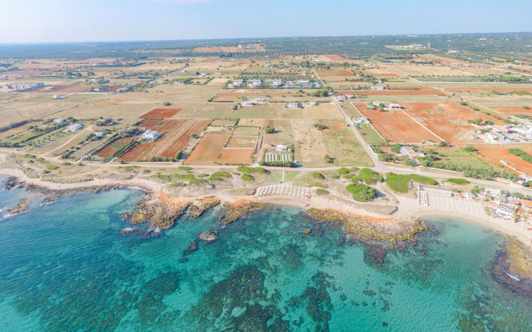 Torre Guaceto Oasis Hotel